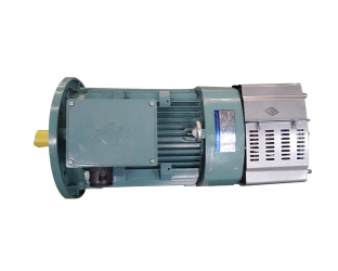 Construction hoist motor