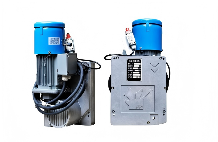 LTD6.3 vs LTD8.0 Hoist: Load Capacity and Internal Gear Differences?